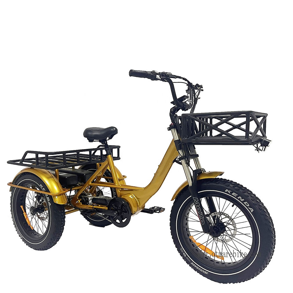 Thumbnail: 48v 1000w 20*4.0 Fat Tire Mid Drive Camping Electric Cargo Bike 3 Wheel Electric