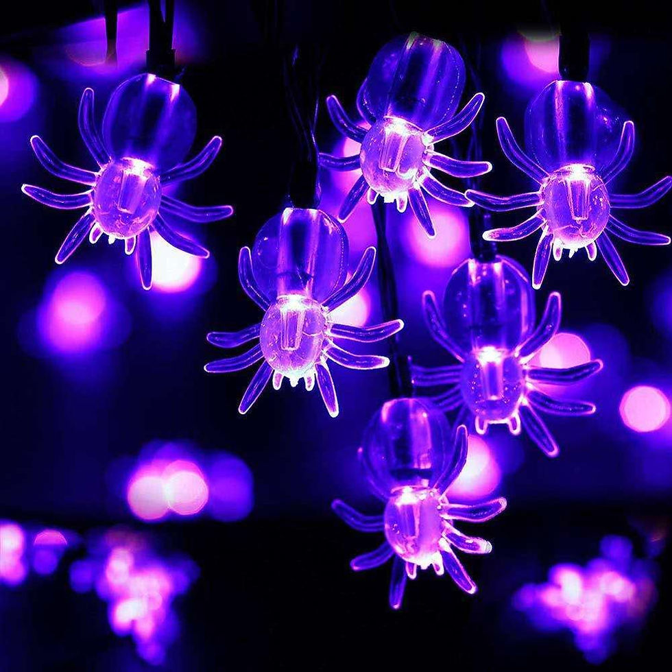 Miniatyrbild: Led decorated Halloween lights