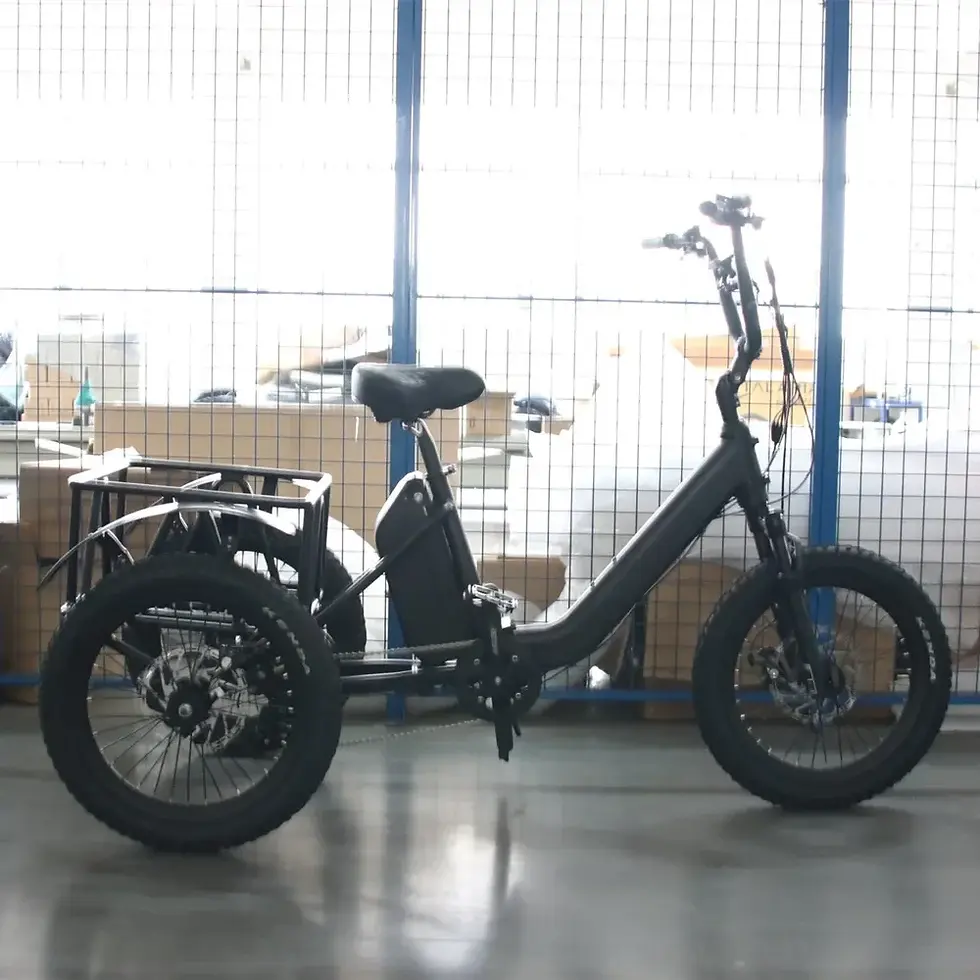 Thumbnail: 48V 15Ah Lithium Battery Aluminum Alloy Frame E-Tricycle 1000W Motor Electric Tr