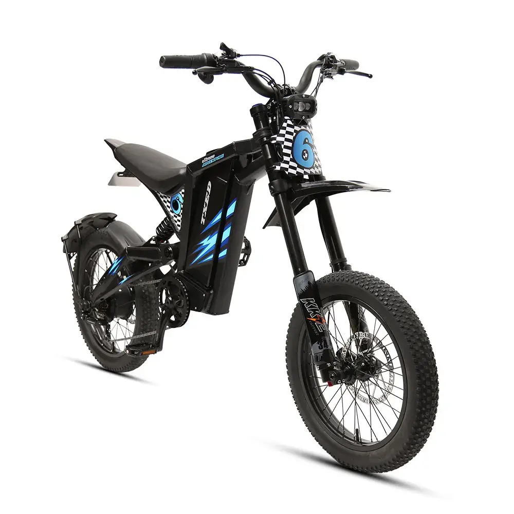 20 inch Electric Hybrid Bike 48v1000w e dirt bike 100km full suspension electric
