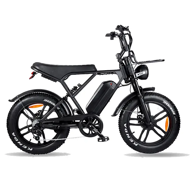 H9 20inch 1000w Electric Bike 750w Fat Tire Bicycle Beach Cruise E-bike All Terr