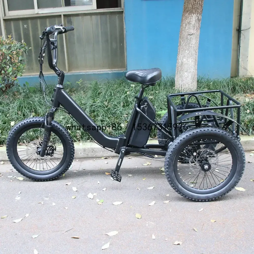 48V 15Ah Lithium Battery Aluminum Alloy Frame E-Tricycle 1000W Motor Electric Tr