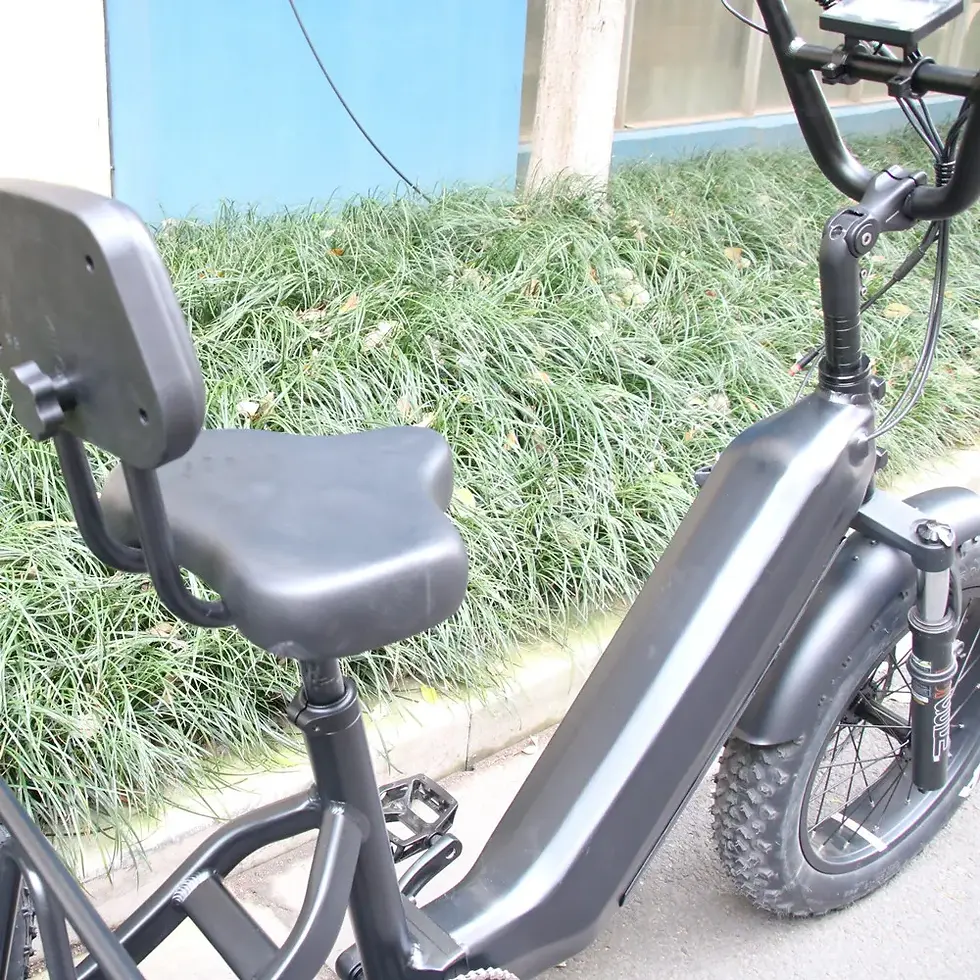 Miniaturebillede: 48V 15Ah Lithium Battery Aluminum Alloy Frame E-Tricycle 1000W Motor Electric Tr