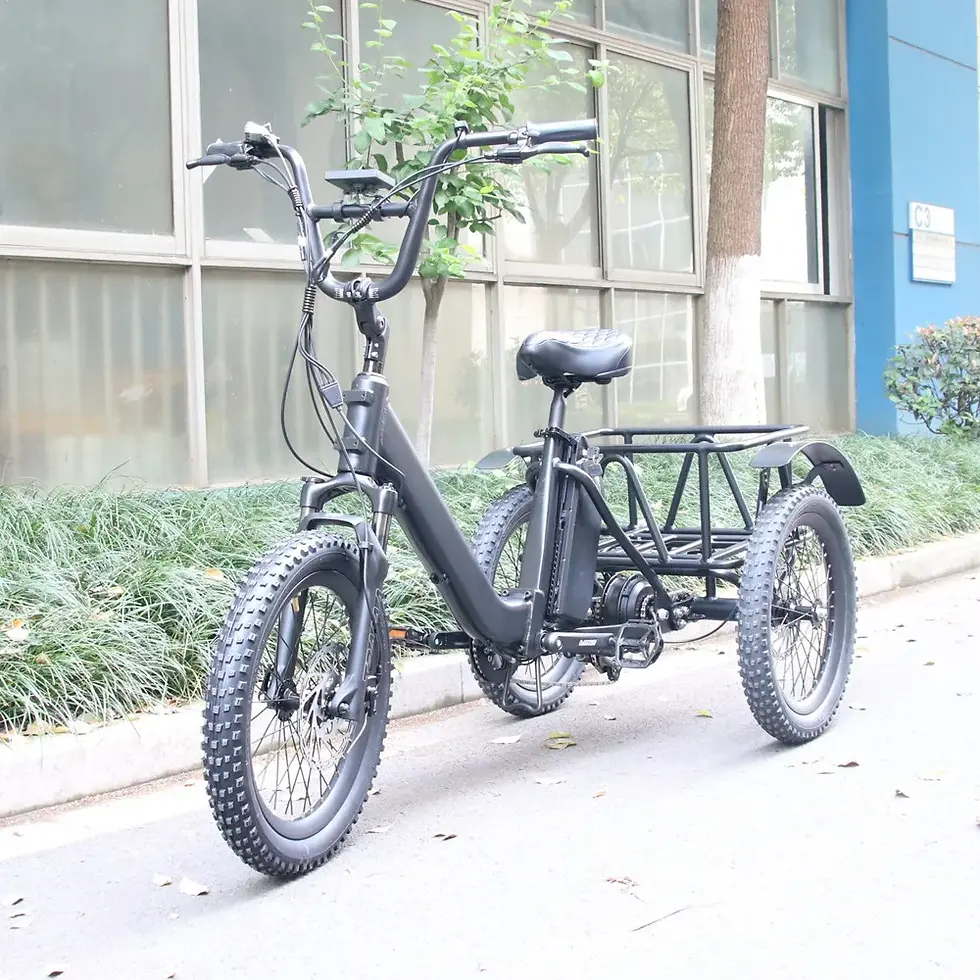 Miniaturbild: 48V 15Ah Lithium Battery Aluminum Alloy Frame E-Tricycle 1000W Motor Electric Tr