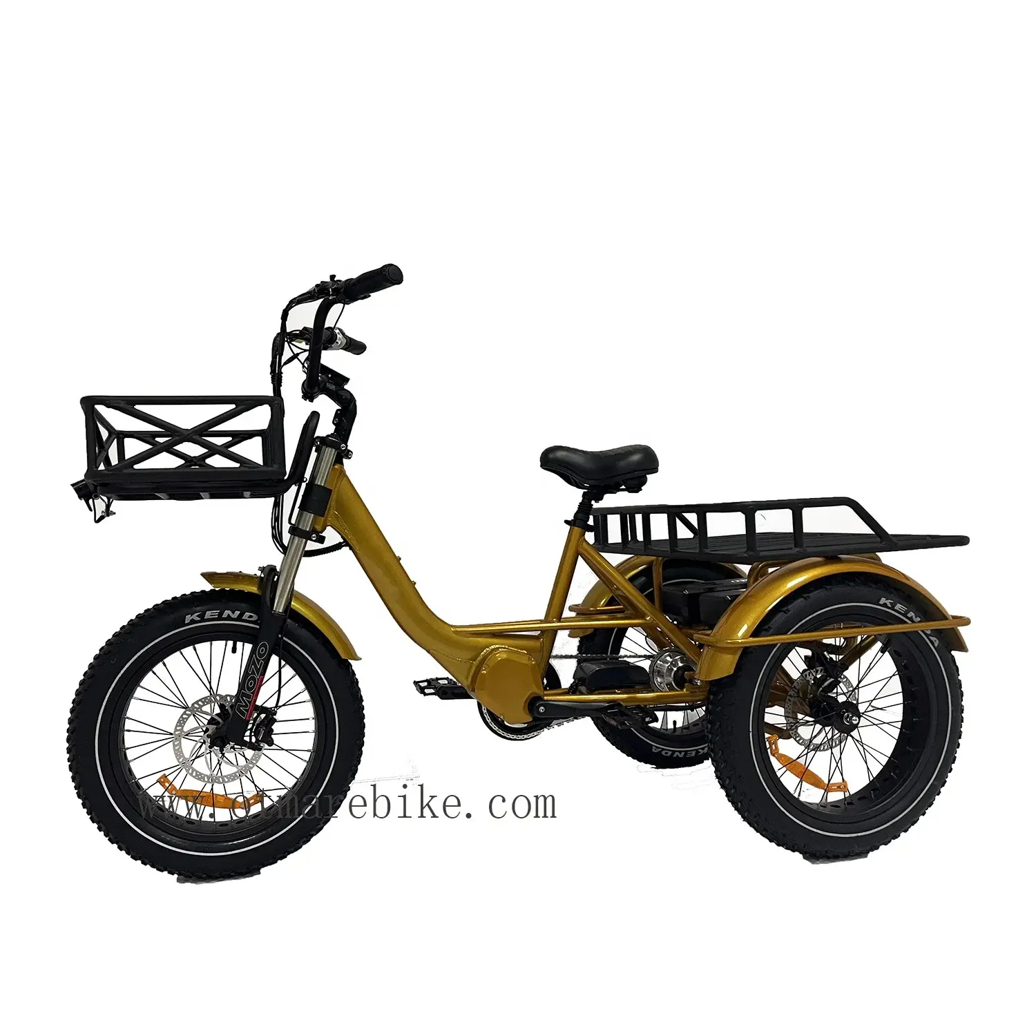 48v 1000w 20*4.0 Fat Tire Mid Drive Camping Electric Cargo Bike 3 Wheel Electric