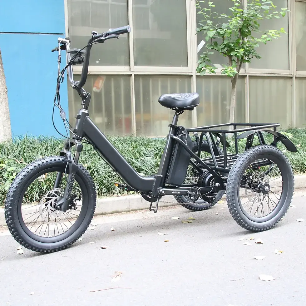 Miniaturbild: 48V 15Ah Lithium Battery Aluminum Alloy Frame E-Tricycle 1000W Motor Electric Tr