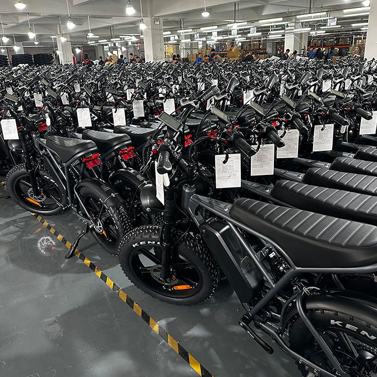 Minijatura: H9 20inch 1000w Electric Bike 750w Fat Tire Bicycle Beach Cruise E-bike All Terr