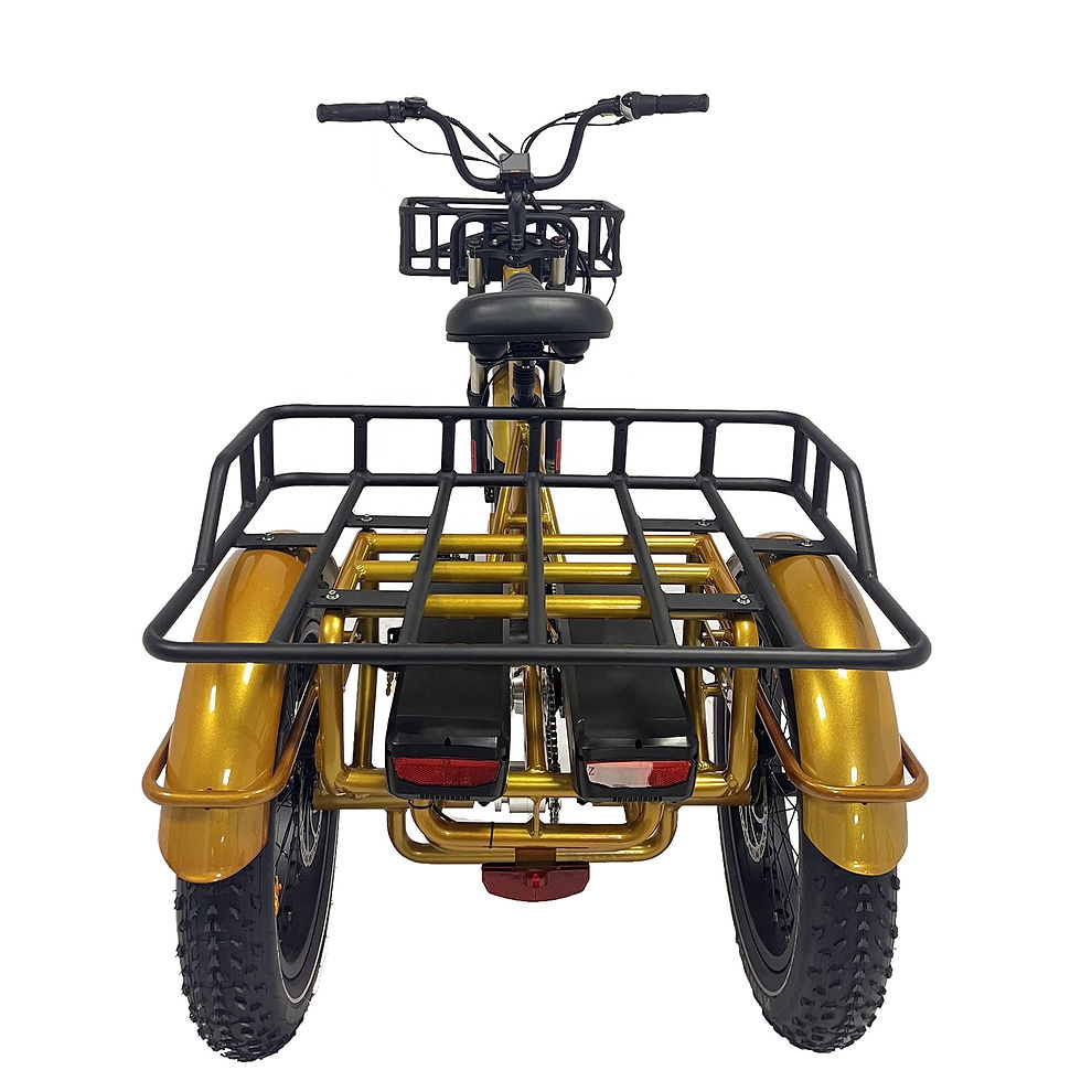 Thumbnail: 48v 1000w 20*4.0 Fat Tire Mid Drive Camping Electric Cargo Bike 3 Wheel Electric
