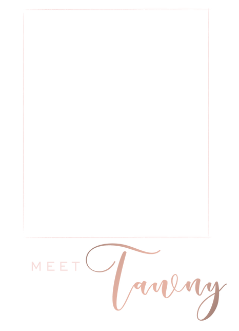 se_profile(web).png