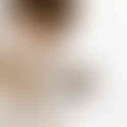 sesja z psem wroclaw