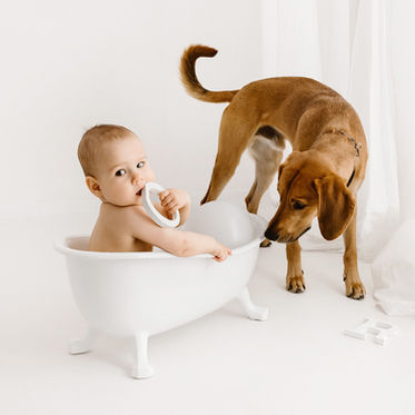 Sesja na roczek Wrocław