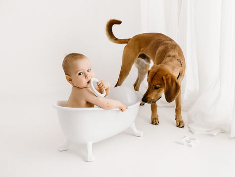 Sesja na roczek Wrocław