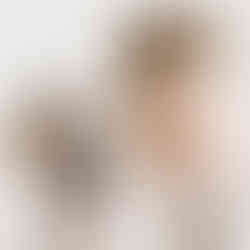 sesja z psem wroclaw