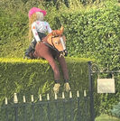 Show Jumping Scarecrow