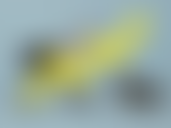 Bolsa cara ou barata? Onde encontrar dividendos de até 13%