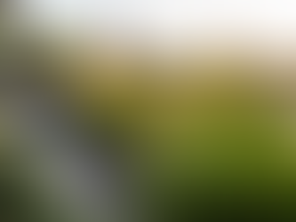 Une terrasse accueillante et verdoyante