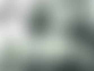 The crew of HMS Monmouth, 1914