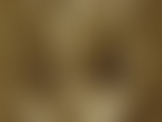 Lieutenant Charles Roderick Haigh, Adjutant, 2nd Battalion, the Queen's (Royal West Surrey Regim