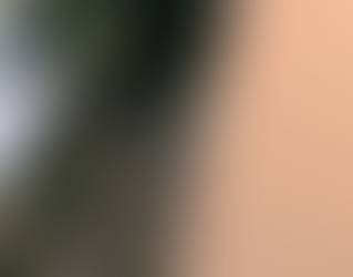 gutter cleaning Boise home by Sudz Window and Gutter Cleaning in spring