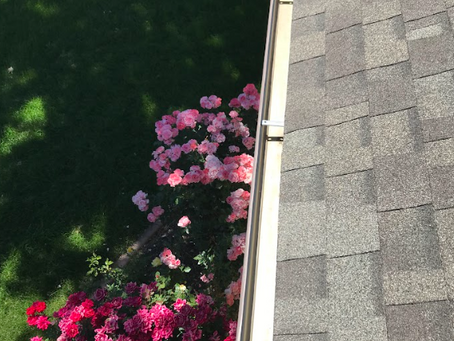 Clean gutters on a Boise home after professional gutter cleaning service.