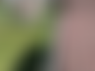 Gutter Cleaning Boise: Protect Your Home with Sudz Window and Gutter Cleaning