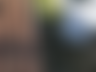 Before and after gutter cleaning Boise home — Sudz Window and Gutter Cleaning results