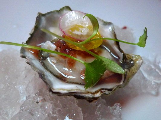 Oysters