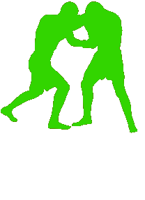 r_003.gif