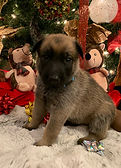 IMG_7919.jpeg
