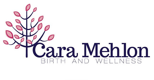Cara Mehlon Licensed Massage Therapist