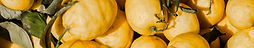 Lemons