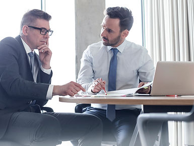 Business services for software investment