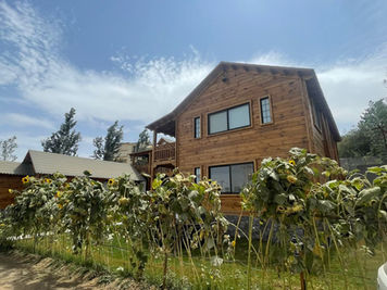 Rustic two-story house nestled amongst greenery