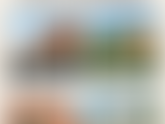 Shopping in Maine – From Freeport to Aroostook County, Discover the State’s Best Retail Destinations