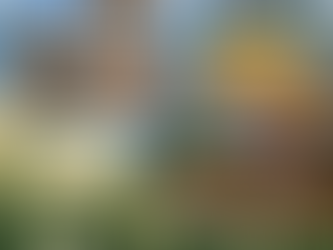 Best Places to Eat in the Moosehead Lake Region (2026 Guide) | Top Restaurants & Local Favorites