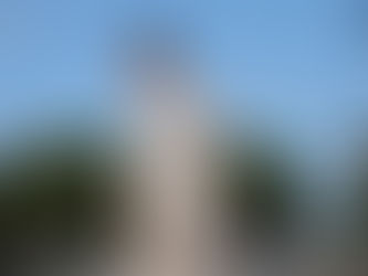 Berlinale: Rosebush Pruning & Dao reviews by David Katz