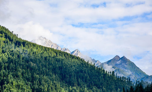 Mountain Landscape