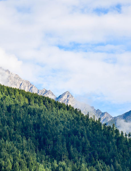 Mountain Landscape
