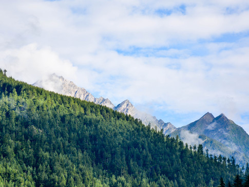 Paysage de montagne