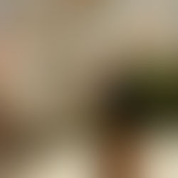 My 2 Cents on Meditation