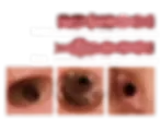 Thumbnail: MRL® BEATUS: Futanari Hentai Fantasy Torso Sex Doll