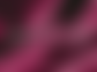 How to make your branding more high-end in 5 steps by NM Creates