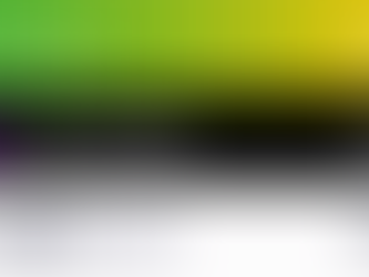 FYEO completes a comprehensive security assessment of the XRPL Labs Hooks Amendment