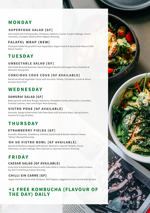 WELLNESS MENUS (3).png