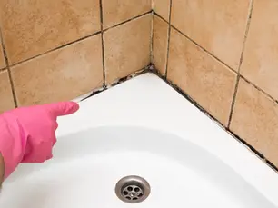 Black mould in bathroom