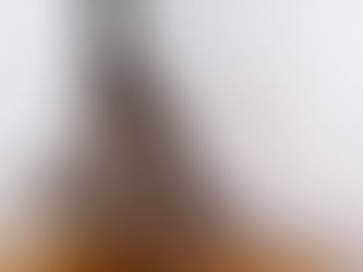 Black mould on wall