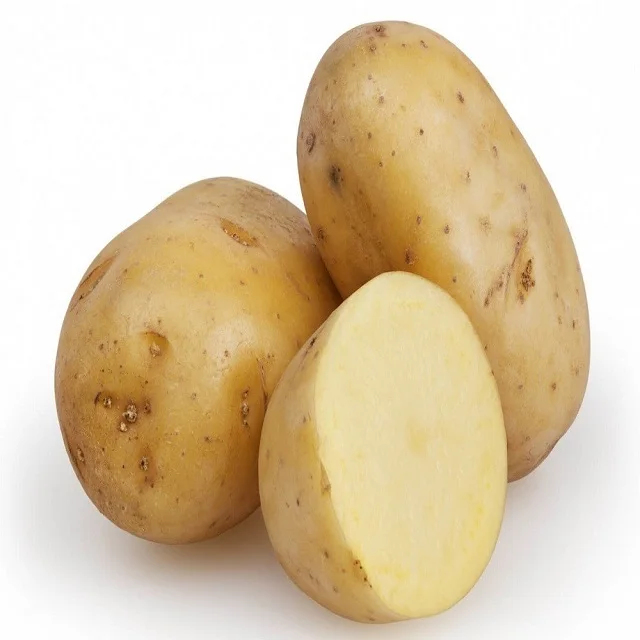 Wholesale Russet Potatoes South Africa | Order in Bulk | Potato Exporters