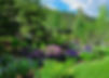 Evergreen Residence Image 11.jpg
