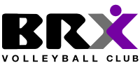 logo brx preto.png