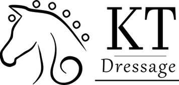 ktLogoHead.png